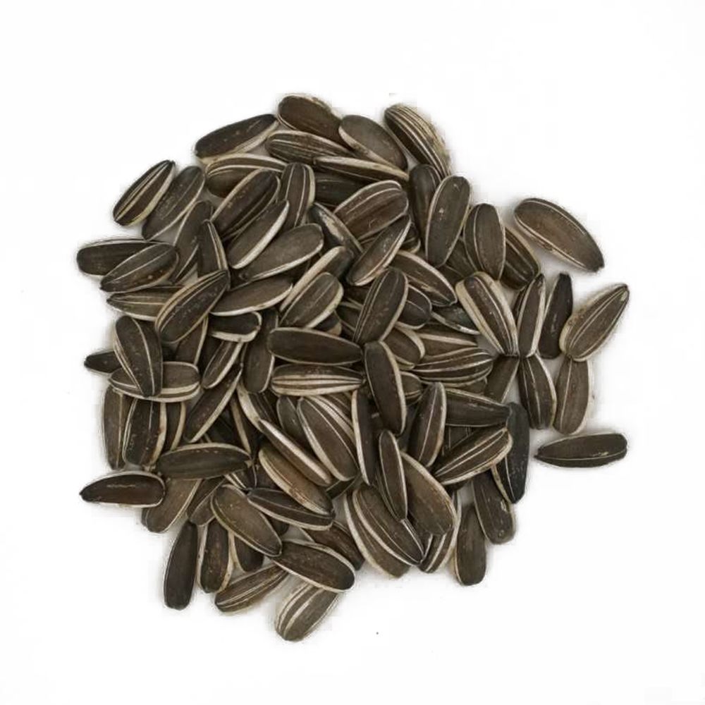 Raw sunflower seed inshell