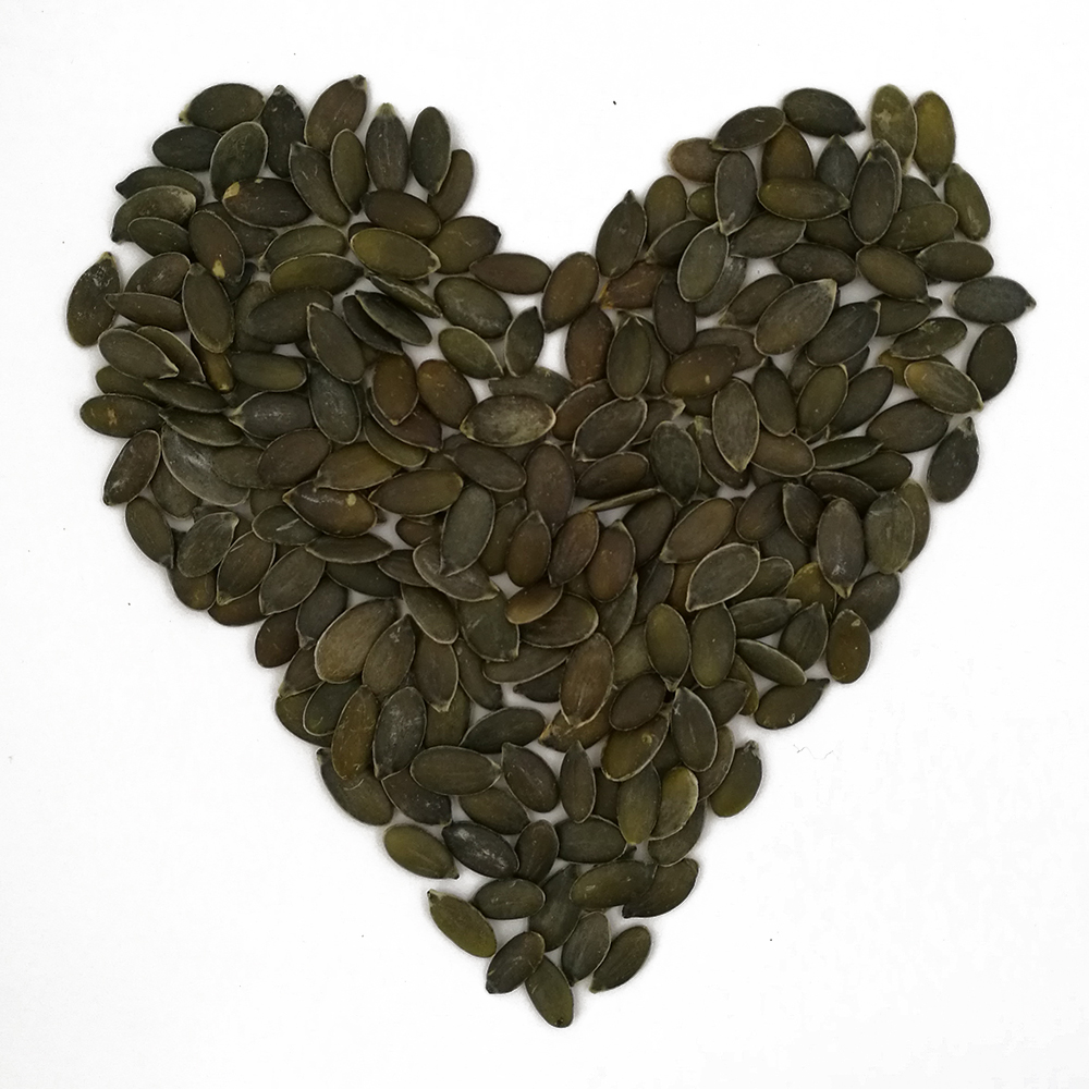 AA Grade Pumpkin Seed GWS